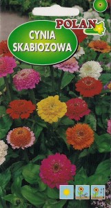 POLAN Cynia skabiozowa  mieszanka 1g