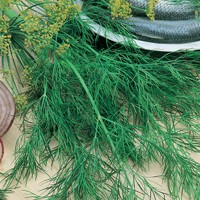 koper Hanak 0,5 kg Eja