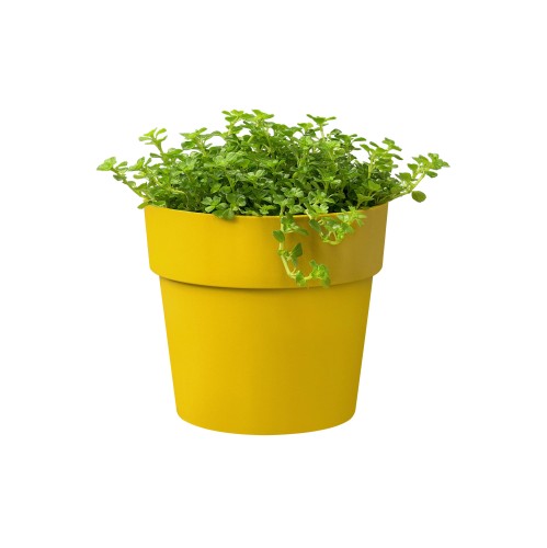 ELHO B.FOR ORIGINAL MINI OKRĄGŁA OSŁONKA 7CM ŻÓŁTA