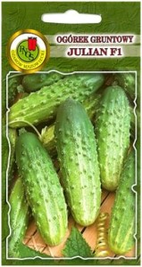 PNOS Ogórek gruntowy Julian  F1 5g