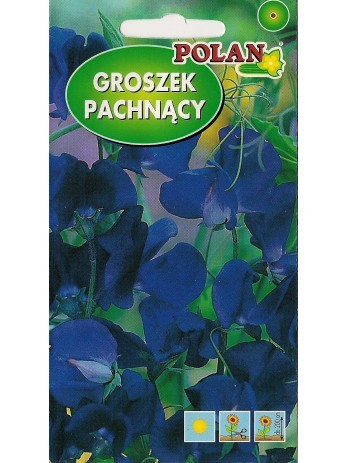 POLAN Groszek pachnący Cuthberston c. niebieski 3g
