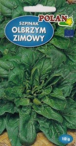 POLAN Szpinak Olbrzym Zimowy 10g