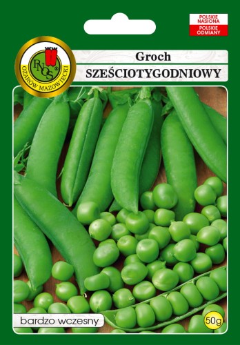 PNOS Groch Sześciotygodniowy 50g