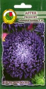 PNOS Aster peoniowy niebieski 0,8g