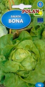 POLAN Sałata masłowa Bona 1g 