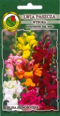 PNOS Lwia paszcza wysoka mieszanka 0,5g