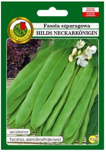 PNOS Fasola szparagowa tyczna zielonostrąkowa Hilds Neckarkonigin 10 g