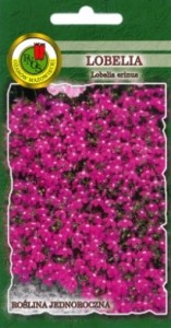 PNOS Lobelia Rosamund różowa  0,2g