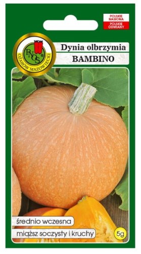 PNOS Dynia olbrzymia Bambino 5g