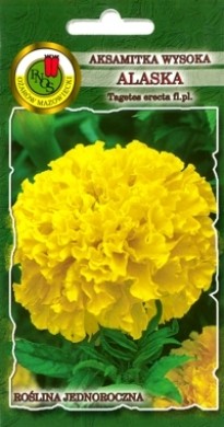 PNOS Aksamitka wysoka Alaska jasnocytrynowa 1g