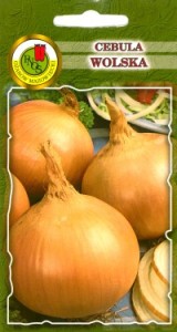 PNOS Cebula Wolska 500 g