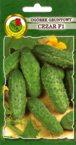 PNOS Ogórek gruntowy Cezar F1 50 g