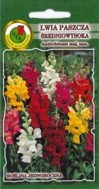 PNOS Lwia paszcza średniowysoka mieszanka 0,5g