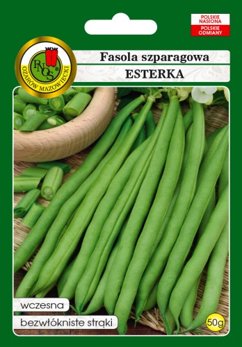 PNOS Fasola szparagowa Esterka zielona 50g