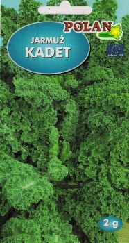 POLAN Jarmuż Kadet 2 g