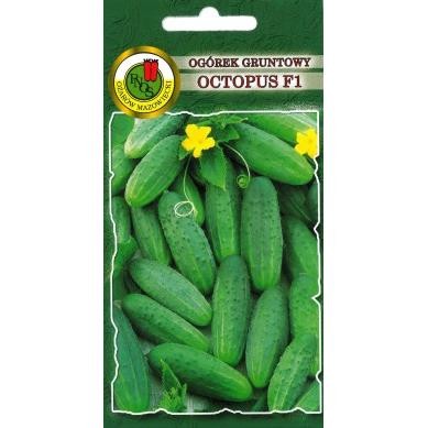 PNOS Ogórek gruntowy Octopus F1 1,5 g