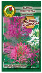 PNOS Kleoma ciernista 0,5 g