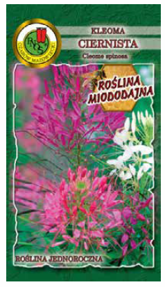 PNOS Kleoma ciernista 0,5 g