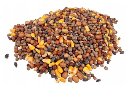 Mieszanka Poplon strączkowa paszowa 1kg