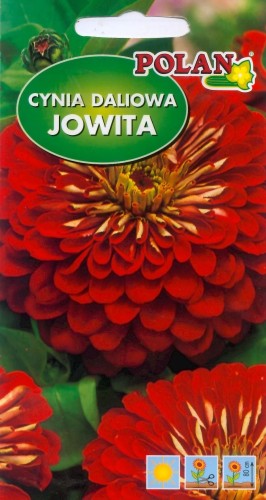 POLAN Cynia daliowa Jowita czerwona 1g
