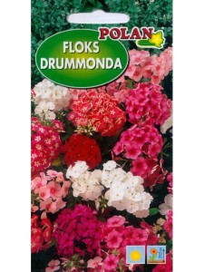 POLAN Floks Drummonda niski mieszanka 1g