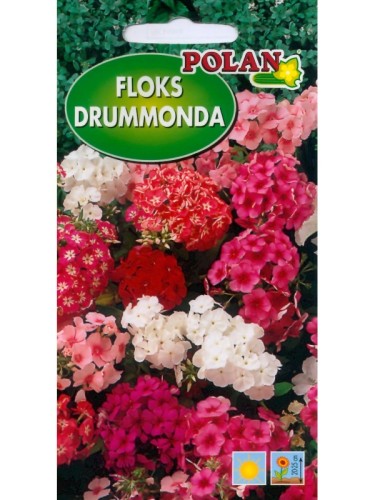 POLAN Floks Drummonda niski mieszanka 1g