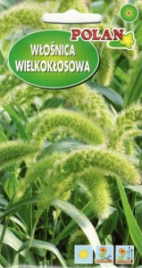 POLAN Trawa Ozdrobna Włośnica Macrostachya 2g