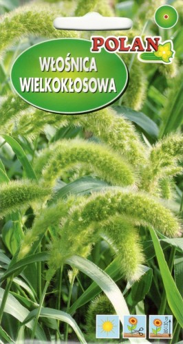 POLAN Trawa Ozdrobna Włośnica Macrostachya 2g