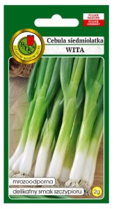PNOS Cebula siedmiolatka Wita 2g