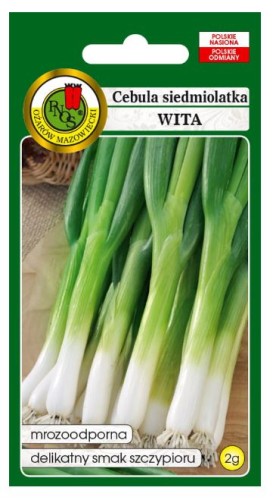 PNOS Cebula siedmiolatka Wita 2g
