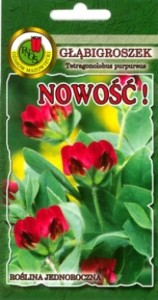 PNOS Głąbigroszek 1g