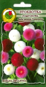PNOS Stokrotka Pomponette mieszanka 0,2g