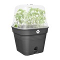  ELHO GROWPOT SQUARE 20CM CZARNY ALL-IN-1