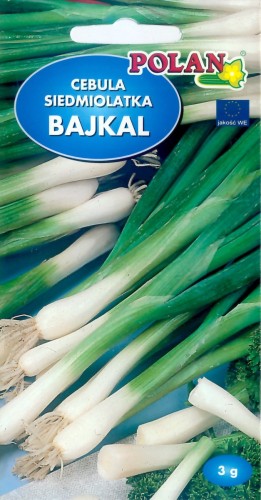 POLAN Cebula Siedmiolatka Bajkał 3 g