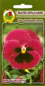 PNOS Bratek szwajcarski Blumlisalp różowy z plamą 0,8 g