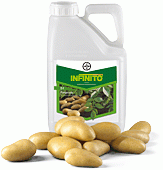 BAYER Infinito 687,5 SC 1l