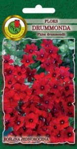 PNOS Floks Drumonda czerwony 0,8g