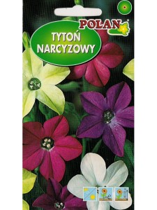 POLAN Tytoń ozdobny mieszanka 1g