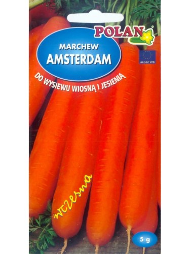 POLAN Marchew Amsterdam 3 5g