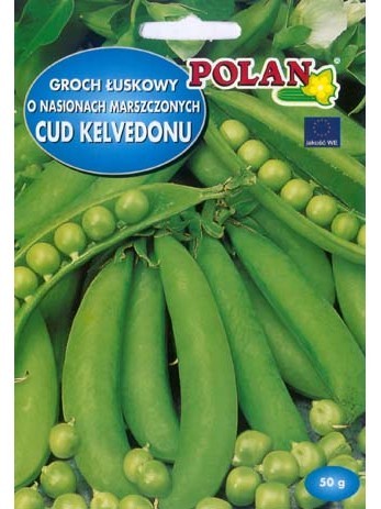 POLAN Groch Cud Kelvedonu/Kelvedon Wunder 40g