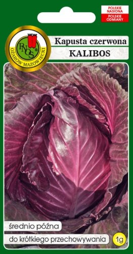 PNOS Kapusta głowiasta czerwona Kalibos 1g