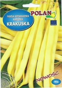 POLAN Fasola Zwykła Karłowa Krakuska 50g