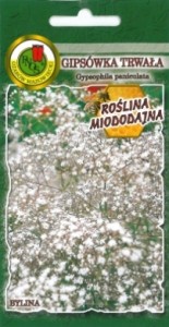 PNOS Gipsówka trwała biała 0,5g