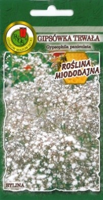 PNOS Gipsówka trwała biała 0,5g