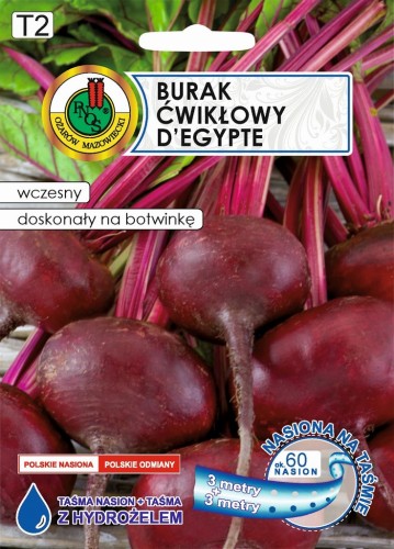 PNOS Burak Ćwikłowy D'Egypte - Nasiona na taśmie z hydrożelem 6m