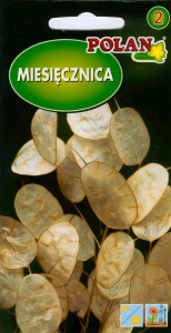 POLAN Miesięcznica 2g