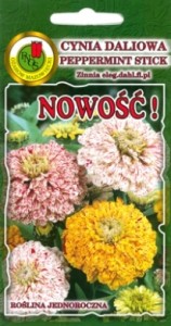 PNOS Cynia daliowa Pepermint Stick mieszana 1g