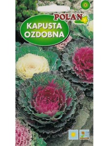 POLAN Kapusta ozdobna mieszanka 0,5g