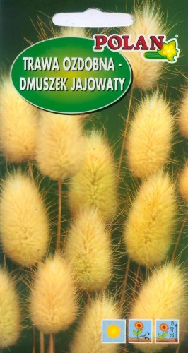 POLAN Dmuszek jajowaty 0,5g