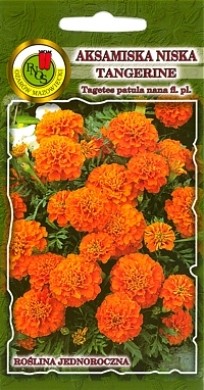 PNOS Aksamitka pełna niska Tangerine Pomarańczowa 1g